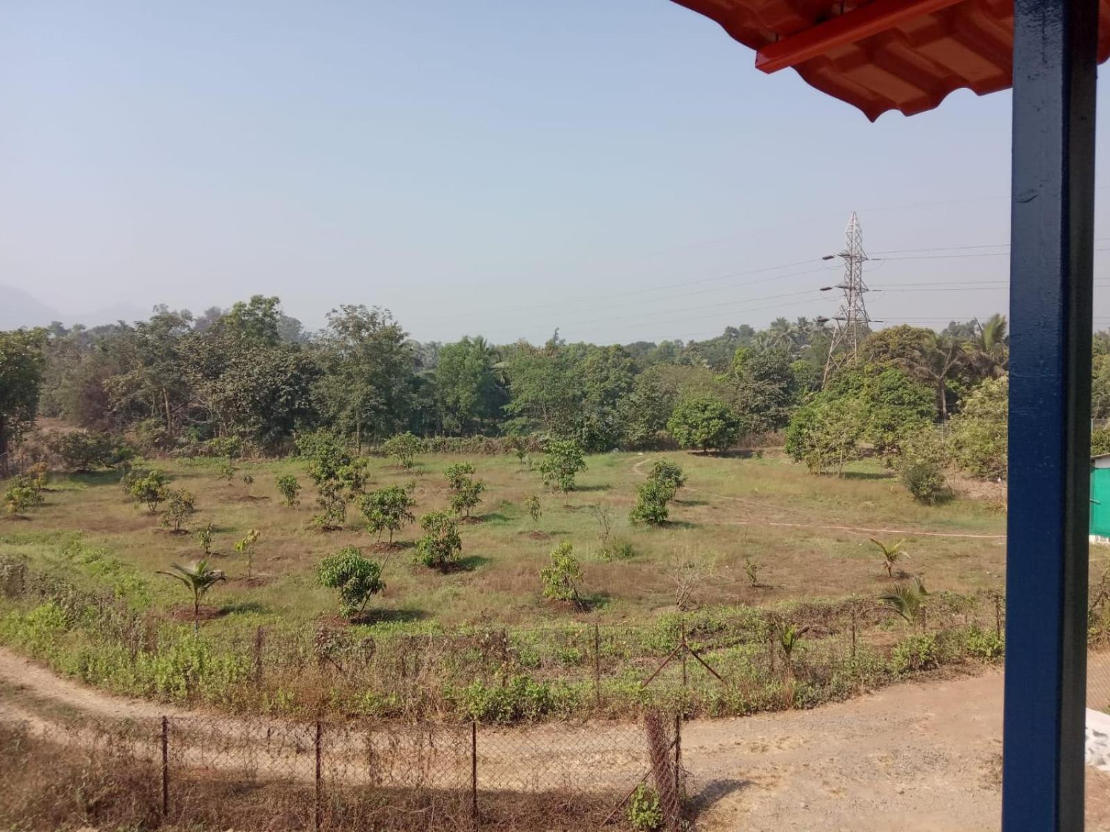 Asmi Palace, Bhaimala, Alibag Alībāg Exterior foto